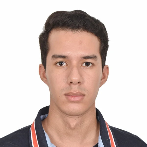 Newton Toledo